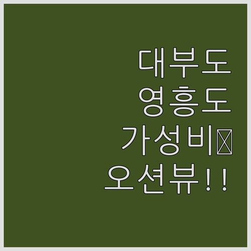 대부도 영흥도 가성비 숙소 정보와 반..