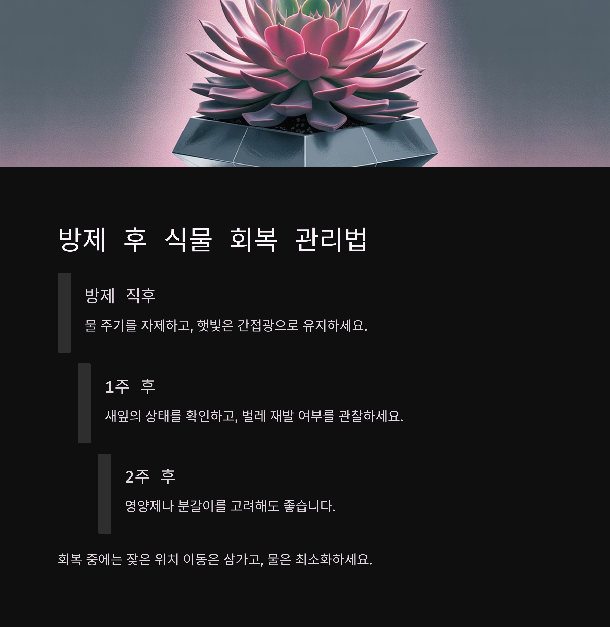 방제 후 회복까지, 식물 상태는 이렇게 살펴보세요