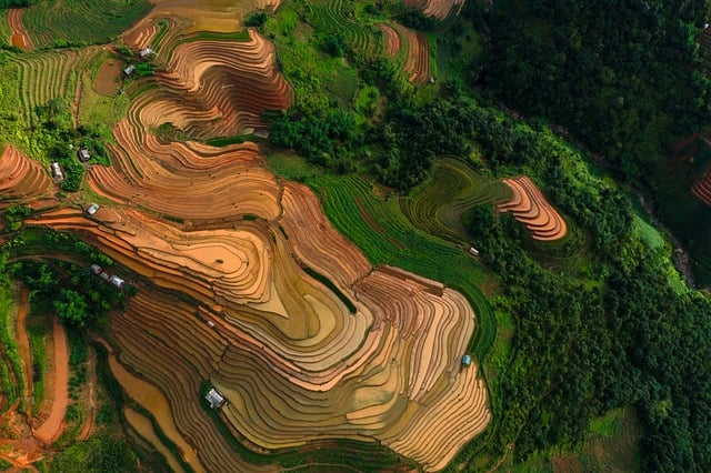 경기도 결혼지원금