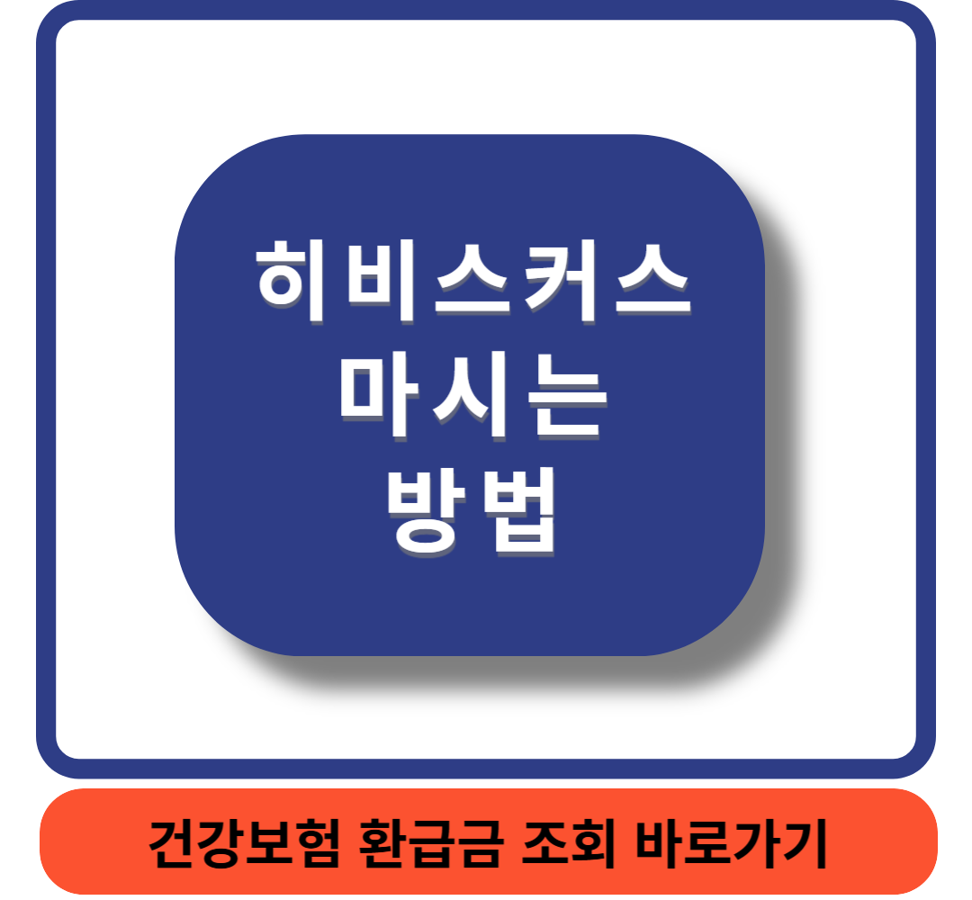 히비스커스썸네일