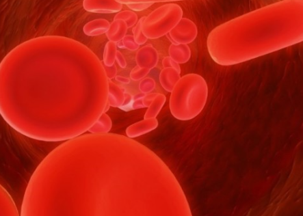 폐쇄혈절현관염 이미지