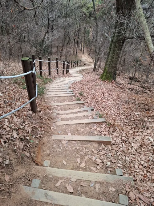 숲속 혹은 조용한 장소에 아래로 길게 이어진 내리막길 돌계단 (A long flight of stone stairs leading downwards in a forest or a quiet place)