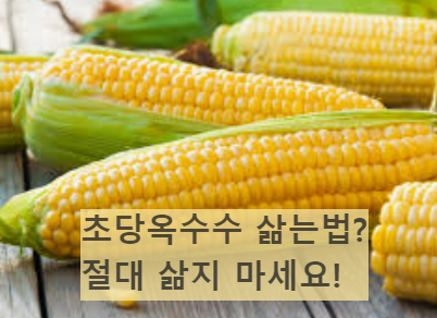 초당옥수수 삶는법? 절대 삶지 마세요!