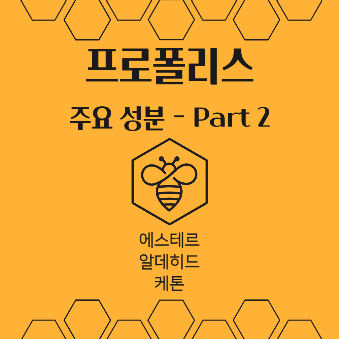 프로폴리스 주요 성분 Part 2