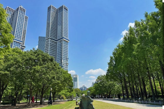 ソウルフォレスト