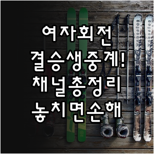 알파인스키 여자 회전 결승전 중계 안..