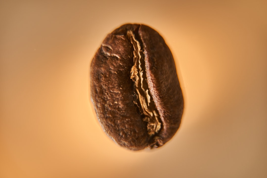 Used coffee grounds