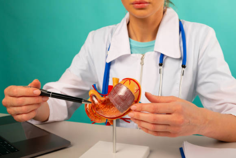 위암 초기증상, 수술비용, 수술후 회복기간 총정리 (2024ver)