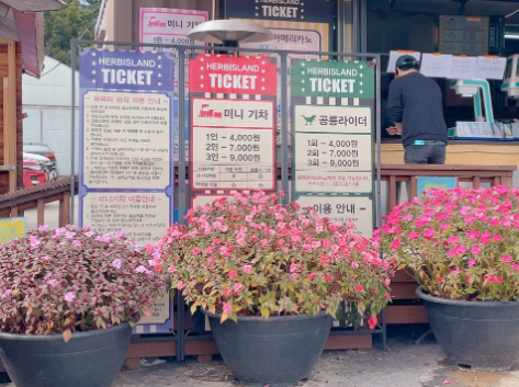 포천 허브아일랜드-핑크뮬리