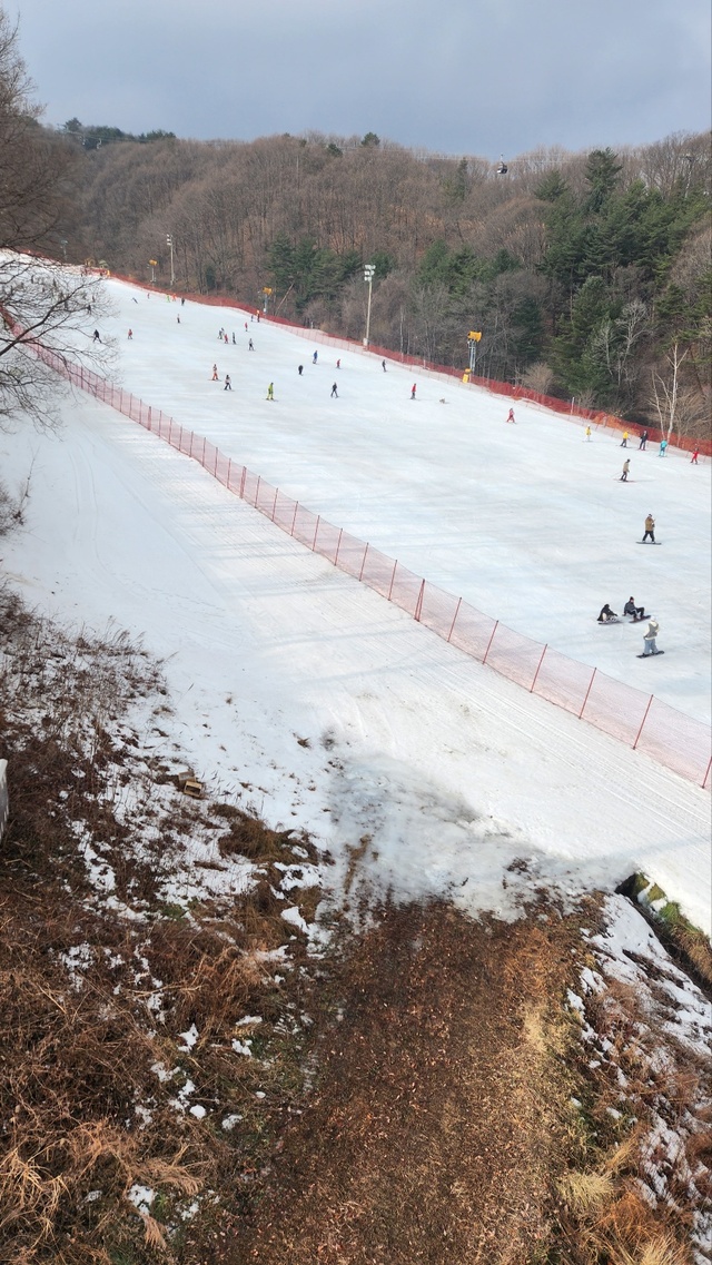 휘닉스파크 주간 스키장