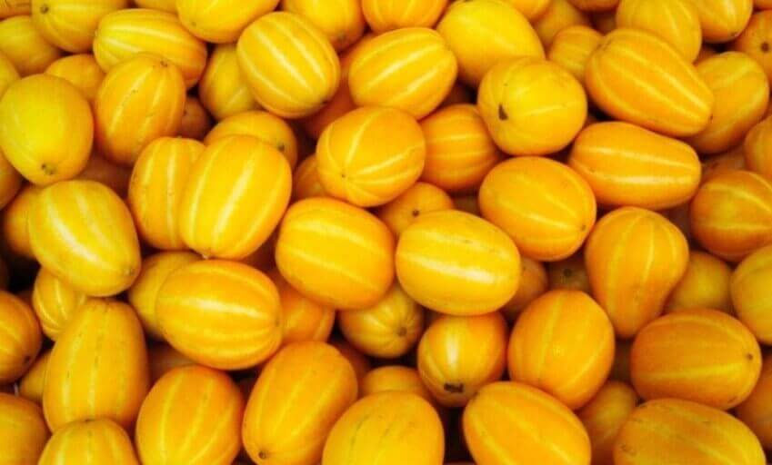 여름 제철 과일 참외 놀라운 10가지 효능과 부작용 및 참외 씨&amp;#44; 참외 껍질 효능