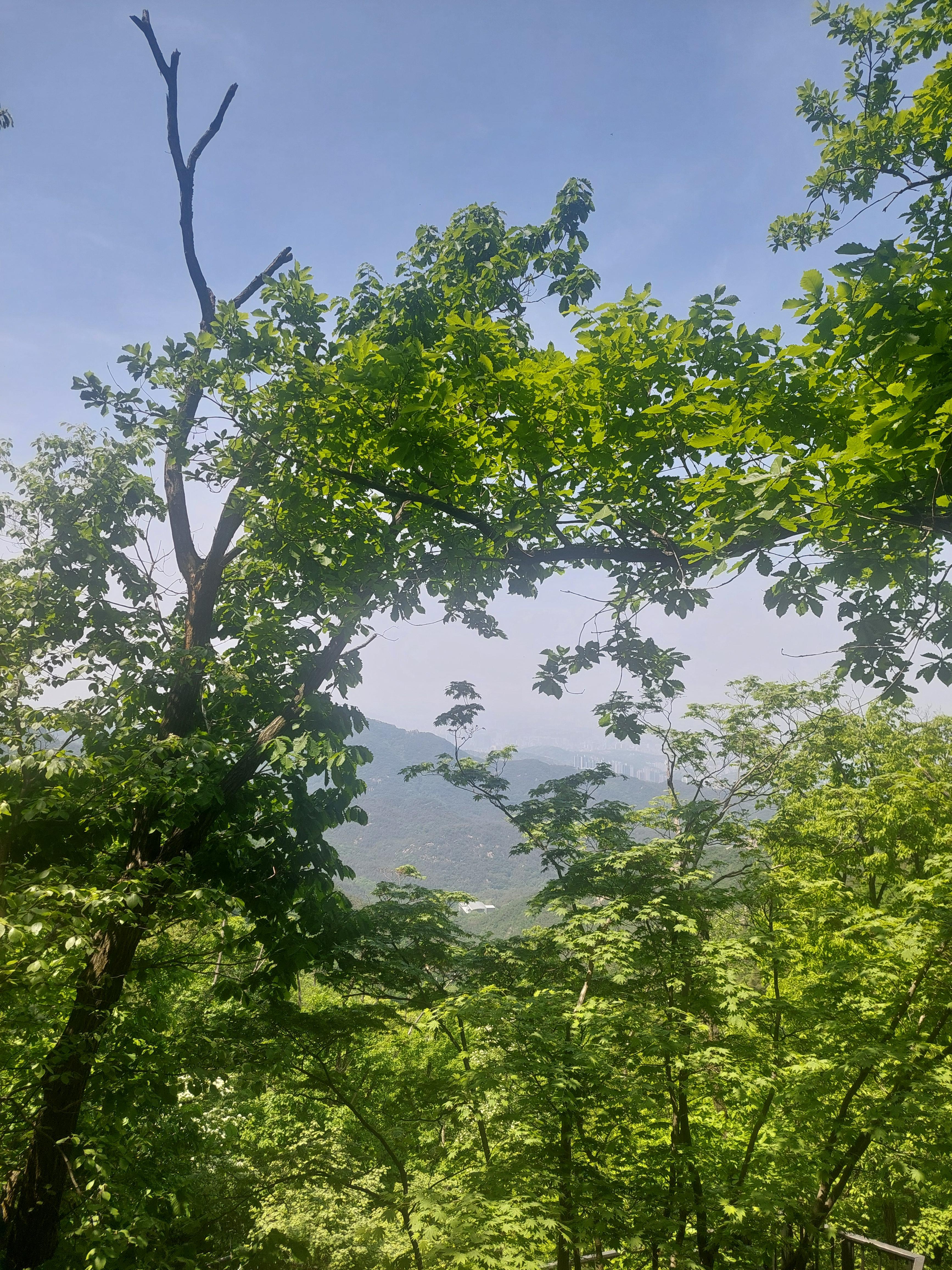 관악산 연주대