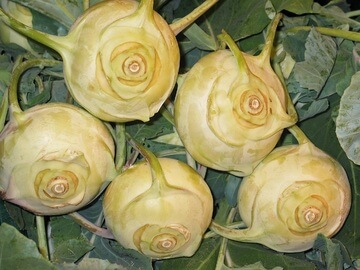 콜라비-효능-2