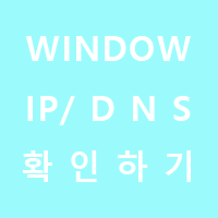 window IP/DNS 확인하기
