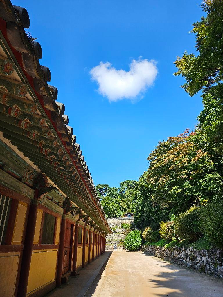 경주 가볼만한 곳 베스트 10 (2025 최신판)