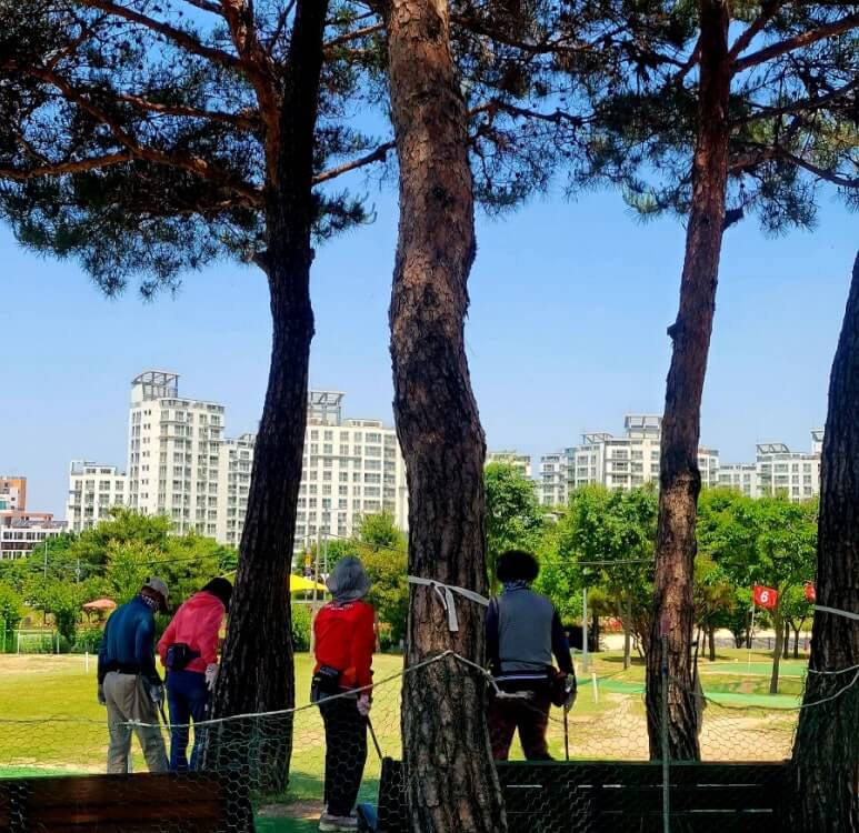양주 나리공원 파크골프장 소나무 밑