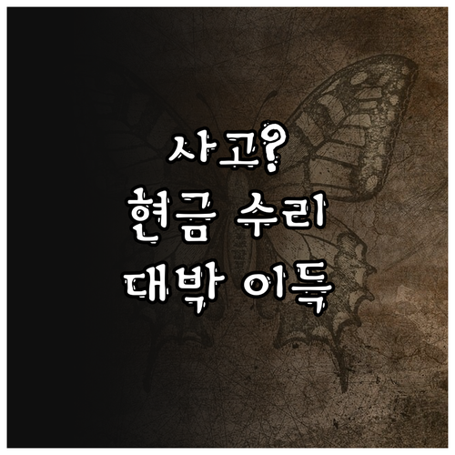 주차장 단독 사고 자차보험 처리보다 ..