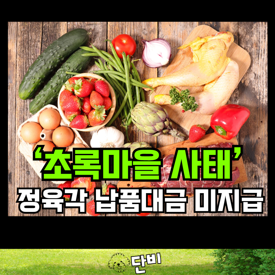 초록마을 사태 총정리 - 무리한 인수부터 기업회생까지 한눈에 보기