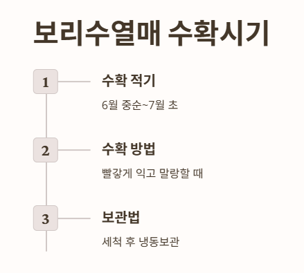 보리수열매 수확시기