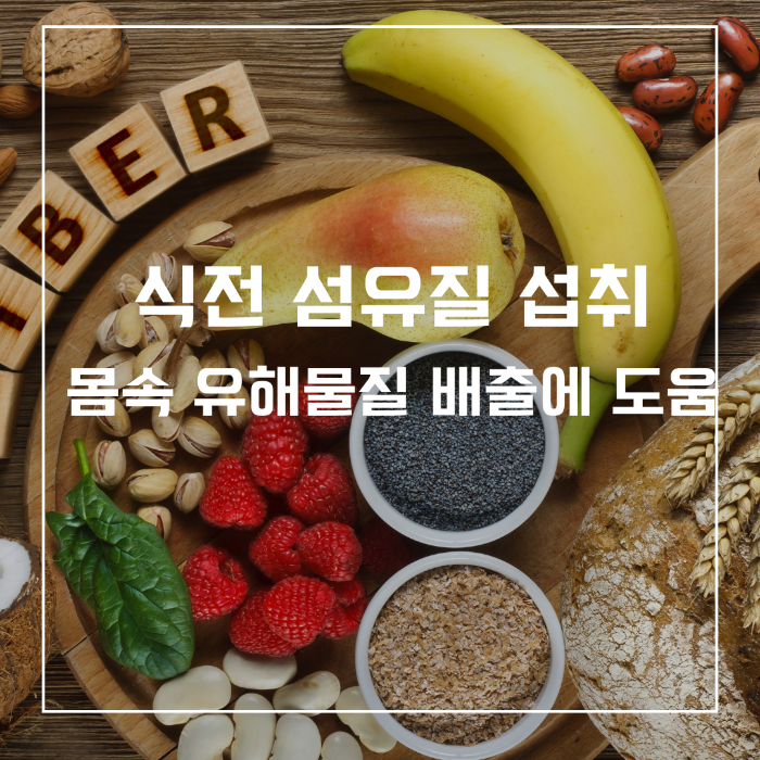 섬유질