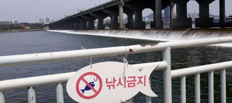 한강 낚시 금지 구간