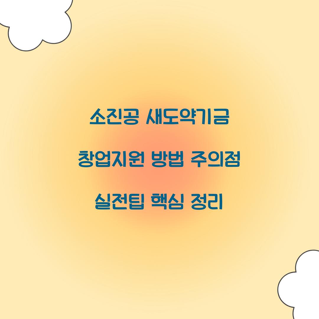 소진공 새도약기금