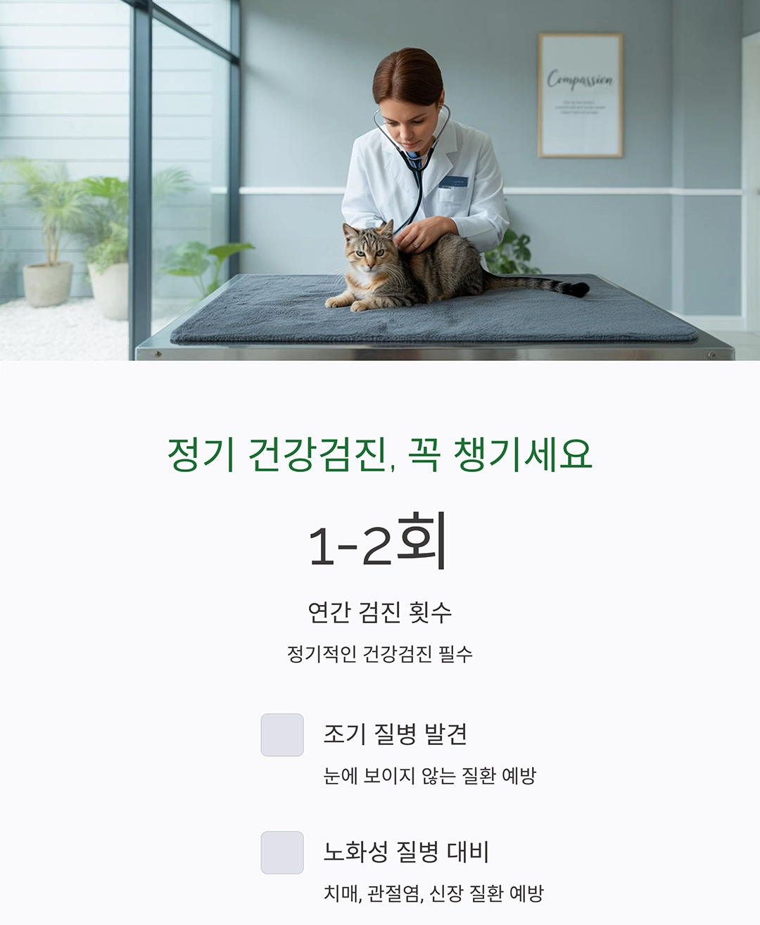 시니어 반려동물과 건강하게 오래 함께하는 방법