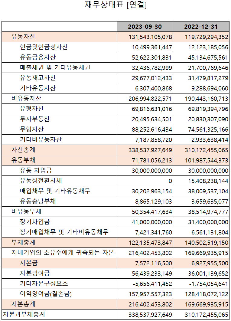 텔레칩스 - 재무상태표