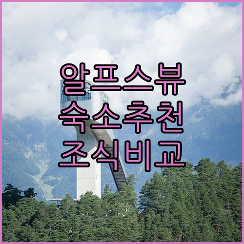 알프스 파노라마 뷰가 예쁜 인스브루크..