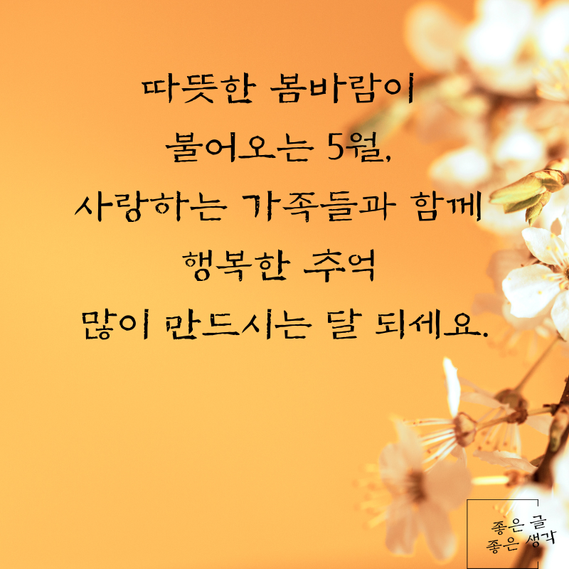 5월 인사말 문구 이미지 모음집 카톡 문자 메세지