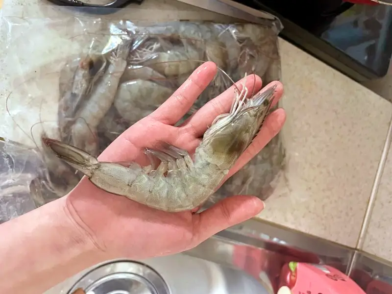 현장치고 전국 택배 판매 주문 생새우 활새우 생새우회 새우회 생새우살 흰다리새우 충남 당진 맛집 추천