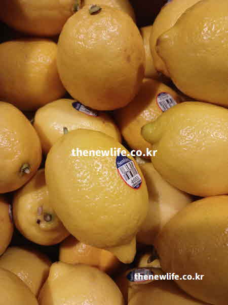 간 좋은 음식 과일 레몬