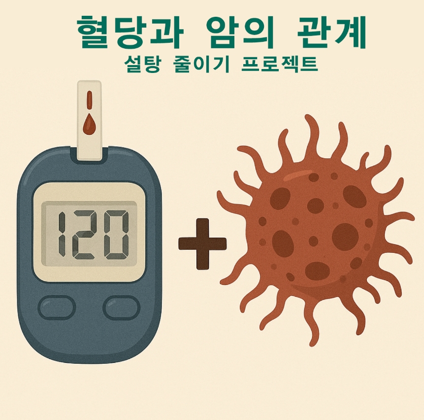 혈당과 암의 관계