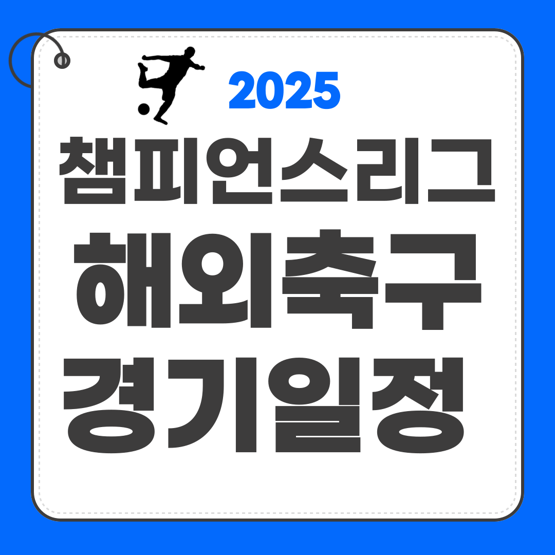 챔피언스리그 해외축구 손흥민 토트넘경기 일정