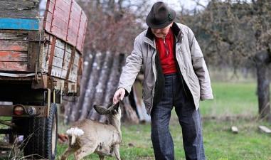 요양보호사-자격증-취득방법