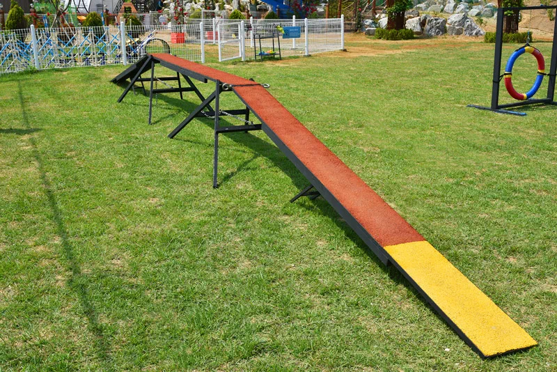 애견 카페 크고 괜찮은 곳8