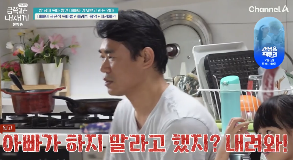 금쪽같은-내새끼-202회