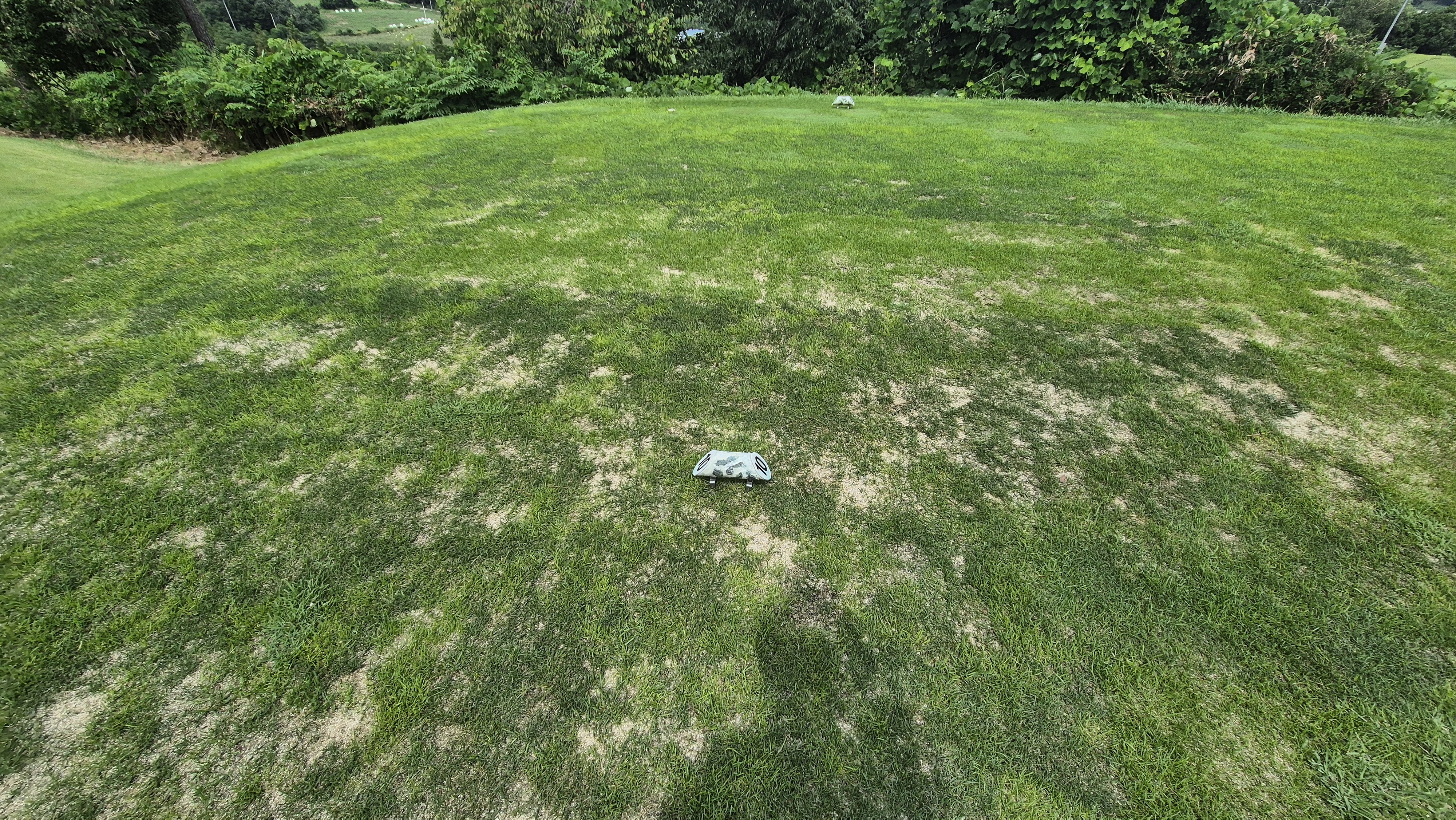 세일cc 들길-산길 코스 라운드 후기