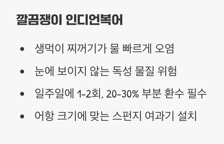실수 4: '물은 깨끗해 보이는데?'라는 안일함