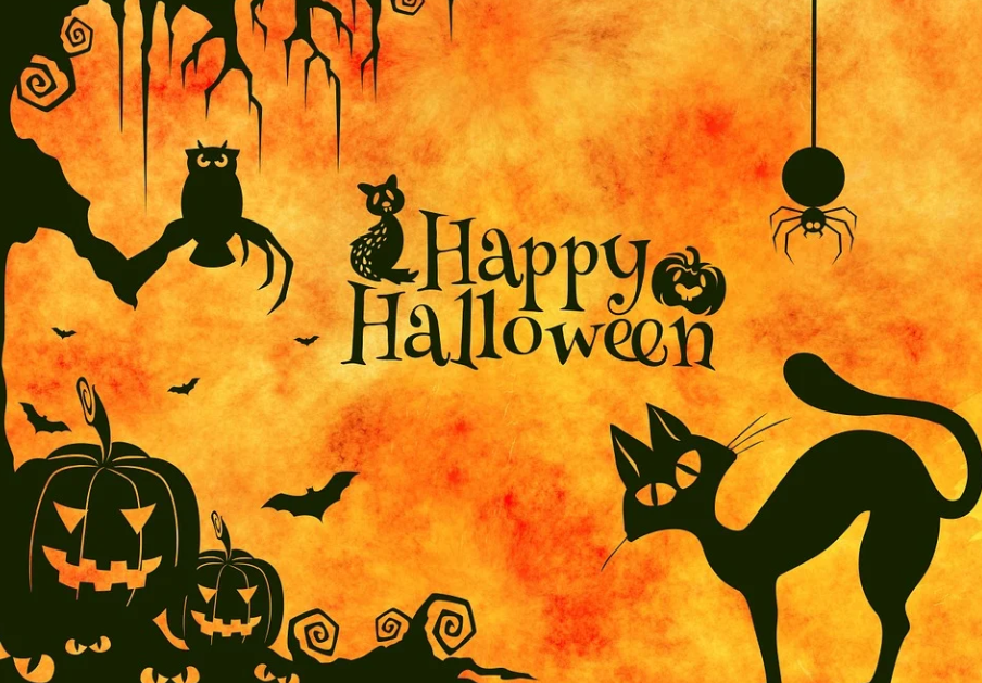 2022 할로윈 테마파크 놀이동산 입장권 반값! 할로윈 축제 일정 경주월드 롯데월드 에버랜드 레고랜드 대구 이월드