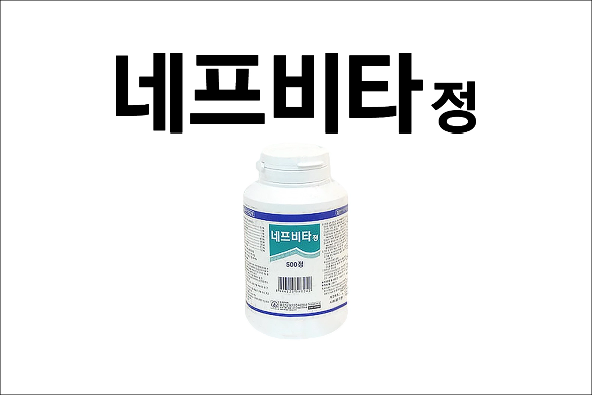 네프비타정 효능 효과 부작용 비타민 B 비타민 C 비타민영양제 비타민제