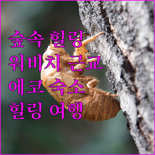 워비치 근교 에코 니에로보프, 자연 ..