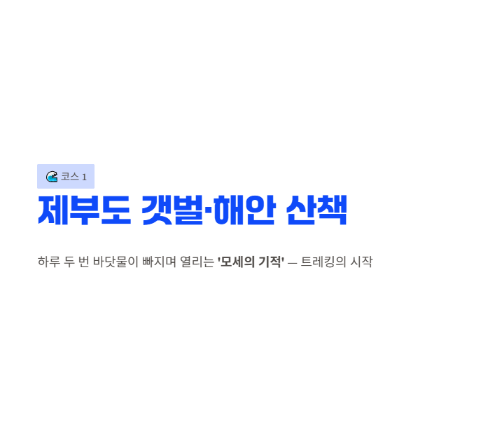 화성시 산책&middot;달리기&middot;트레킹 명소 완벽 가이드