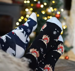 손발이 차가운 이유