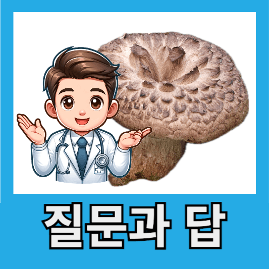 능이버섯 질문과 답