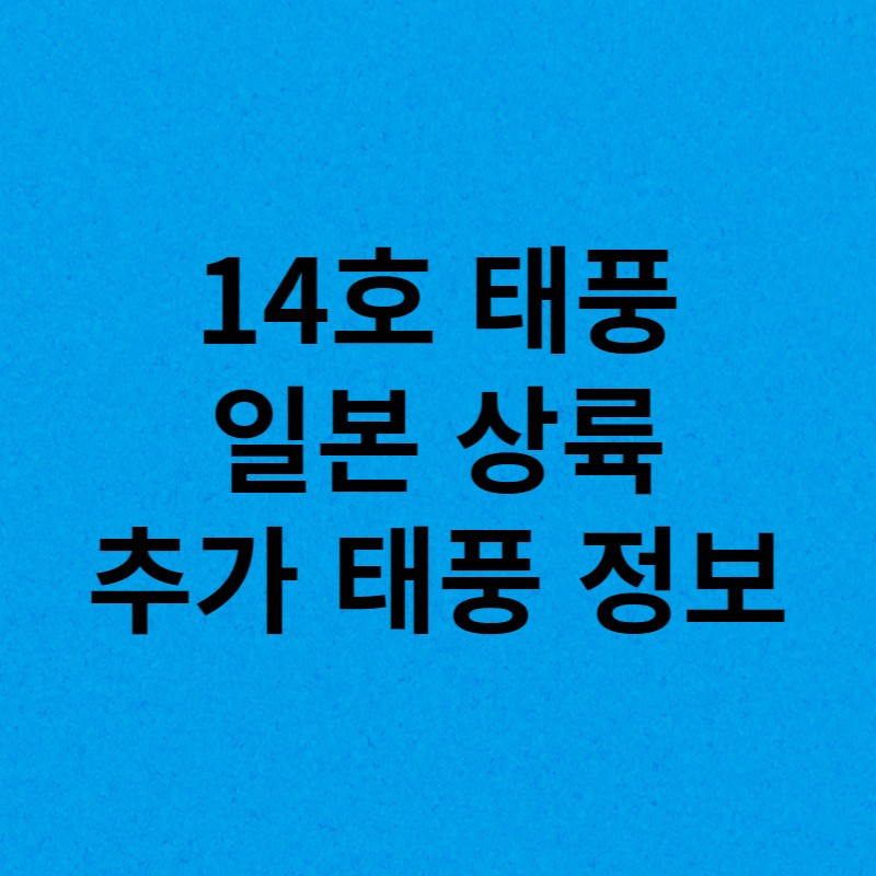 14호태풍난마돌일본상륙