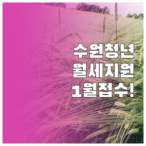 2026년 수원 청년월세지원 1월 1..
