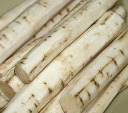 우엉 효능과 부작용 고르는법 요리 먹는법