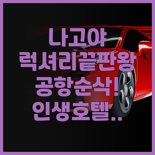 나고야 칸코 호텔 추천 후기 공항 접..