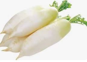 위염에 좋은 음식